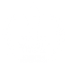 Bronze_stevie_2024_icon